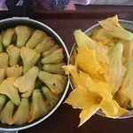 Meltem Datca Oda ve Kahvaltı *