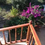 Oda ve Kahvaltı Meltem Datca Mesudiye (Datca)