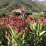 Meltem Datca Mesudiye (Datca)