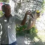 Meltem Datca Oda ve Kahvaltı *