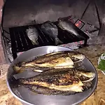 Meltem Datca Oda ve Kahvaltı Mesudiye (Datca)