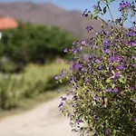 Meltem Datca Oda ve Kahvaltı Mesudiye (Datca)