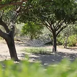 Meltem Datca Bed & Breakfast *