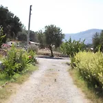 Meltem Datca Oda ve Kahvaltı *
