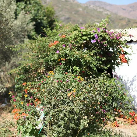 Meltem Datca Mesudiye (Datca)