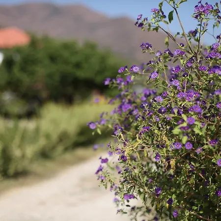 Meltem Datca B&B Mesudiye (Datca)