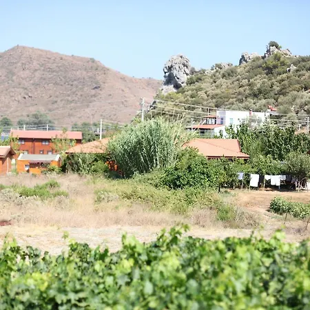 住宿加早餐酒店 Meltem Datca