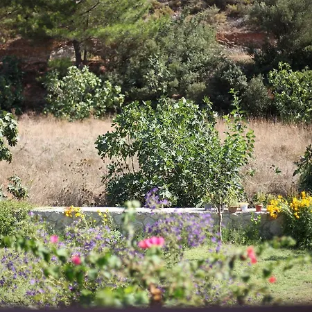 Meltem Datca Bed & Breakfast Mesudiye (Datca)