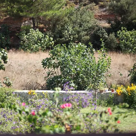 Meltem Datca Bed & Breakfast Mesudiye (Datca)