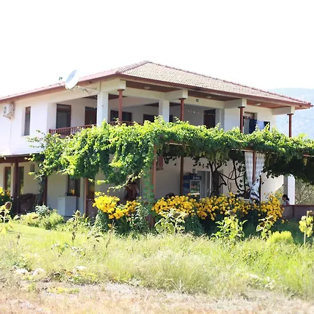 Meltem Datca Mesudiye (Datca)