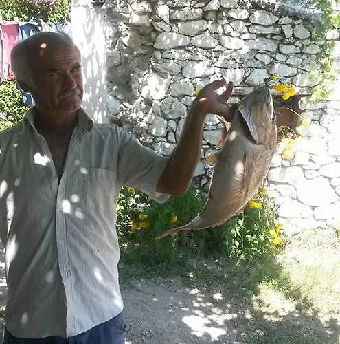 Meltem Datca Bed & Breakfast *