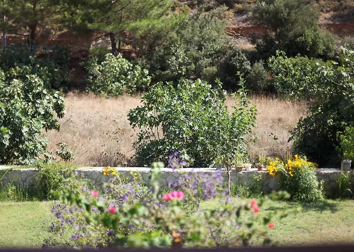 Meltem Datca Bed & Breakfast Mesudiye (Datca)