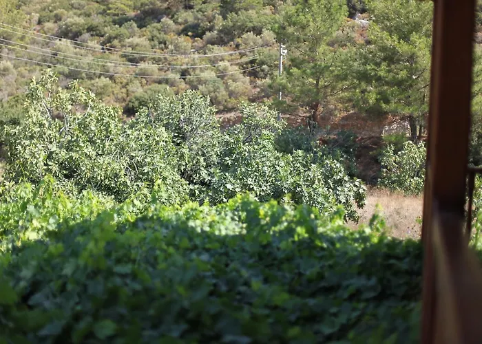 Meltem Datca 住宿加早餐酒店 *