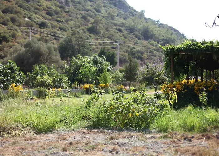 Meltem Datca * Mesudiye (Datca)