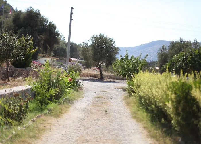 Meltem Datca Bed & Breakfast *