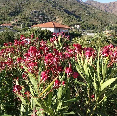 Meltem Datca Mesudiye (Datca)