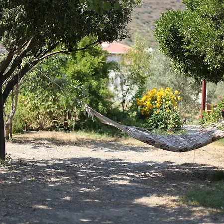 Meltem Datca Panzió Mesudiye