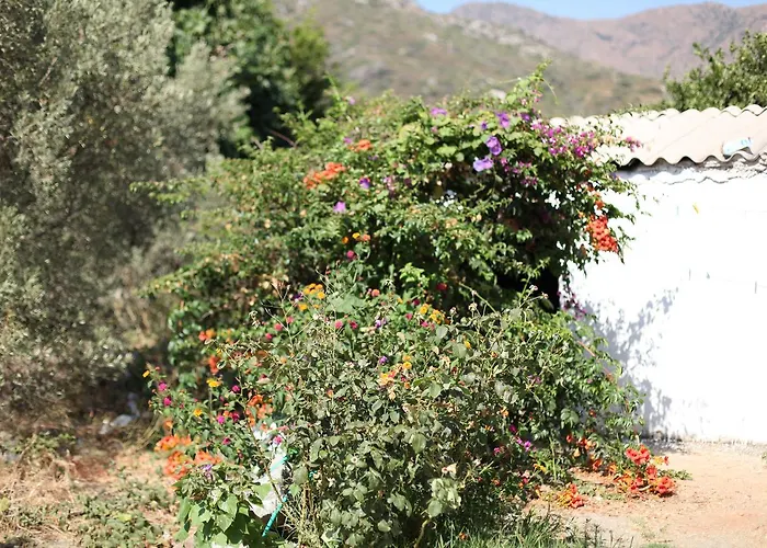 Meltem Datca 메수디에