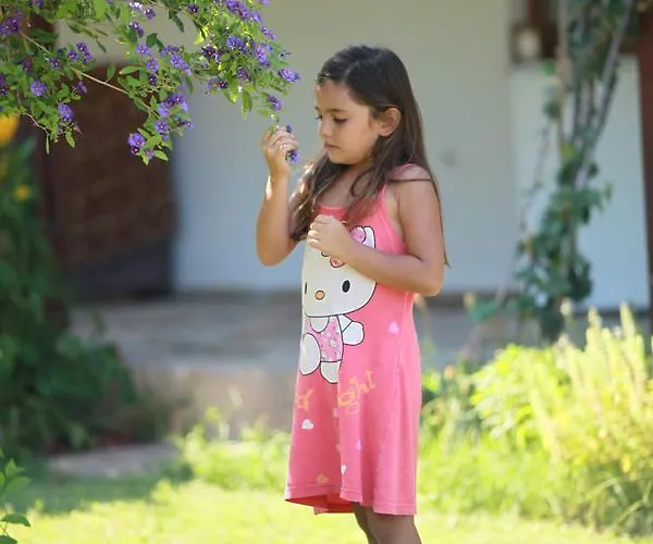 B&B Meltem Datca 메수디에