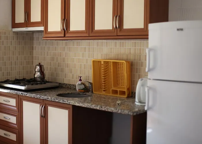 Meltem Datca 메수디에